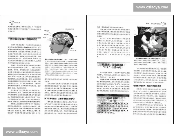 全面提升体质与健康水平的科学体育锻炼与生活策略