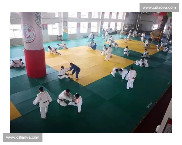 激烈对抗中的柔道赛事精彩瞬间与技巧解析