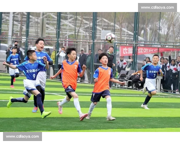 体育精神文明引领社会和谐发展与青少年全面素质提升