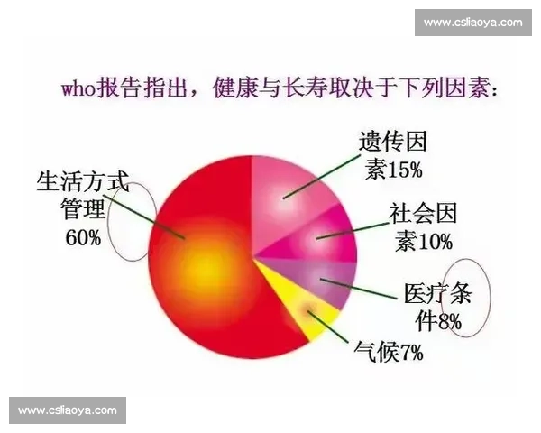 理疗康复全方位方案助力身体健康与功能恢复